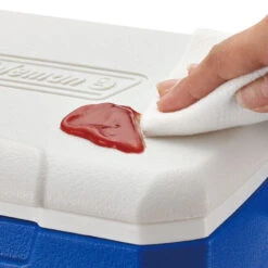 Coleman Performance 5QT Personal Cooler -Outdoor Camping k46f35c6c2c6dd2c6e9c46849a7f097f7