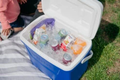 IGLOO Laguna 28QT Cool Box Red -Outdoor Camping kb309529a331bee3c9613a50999a7df51